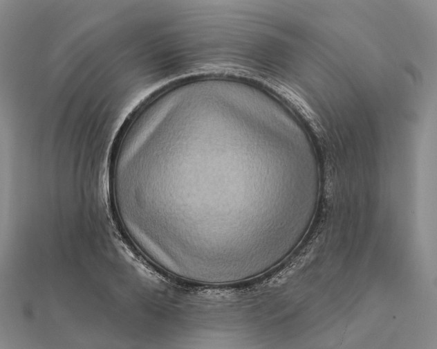 X0000112100888200908251147