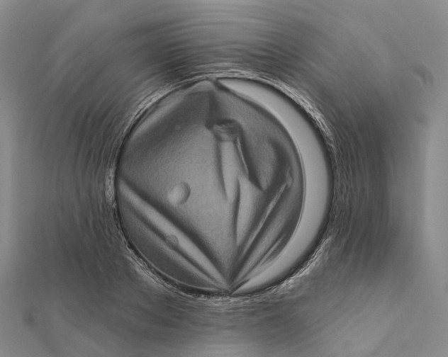 X0000112100889200908251147