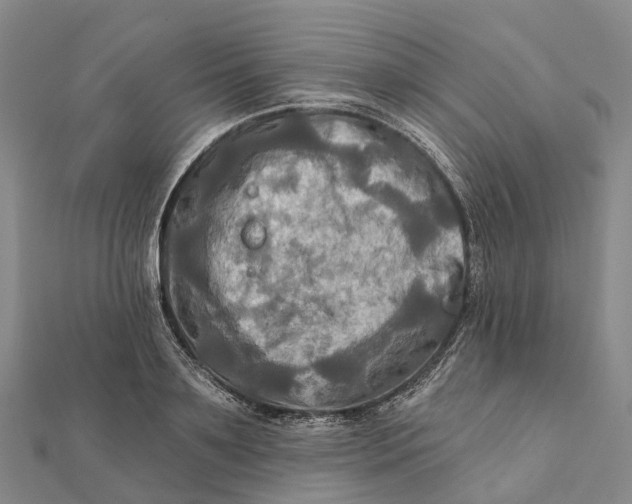 X0000112100891200908251147