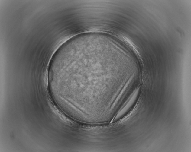 X0000112100892200908251147