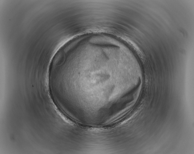 X0000112100894200908251147