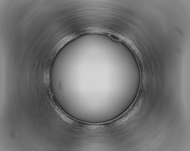 X0000112100897200908251147