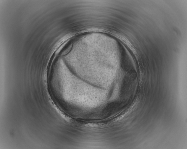 X0000112100898200908251147