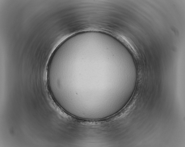 X0000112100900200908251147