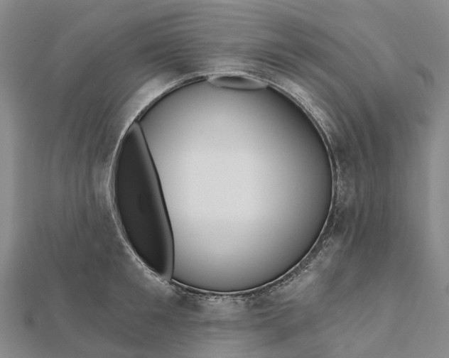 X0000112100901200908251147