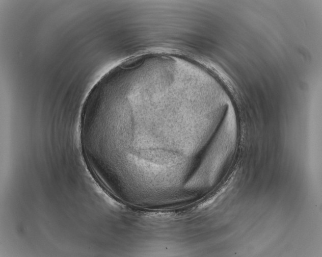 X0000112100902200908251147