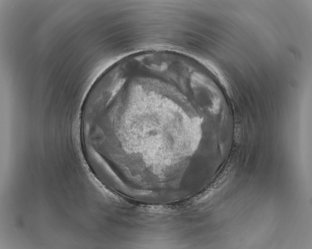 X0000112100903200908251147