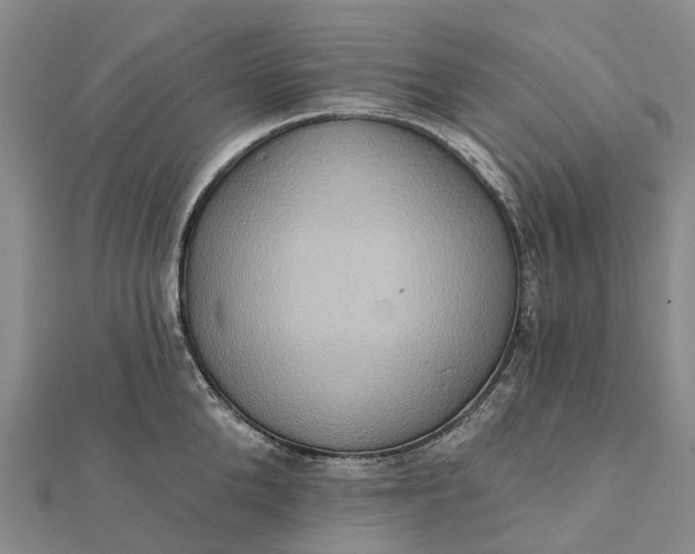 X0000112100904200908251147