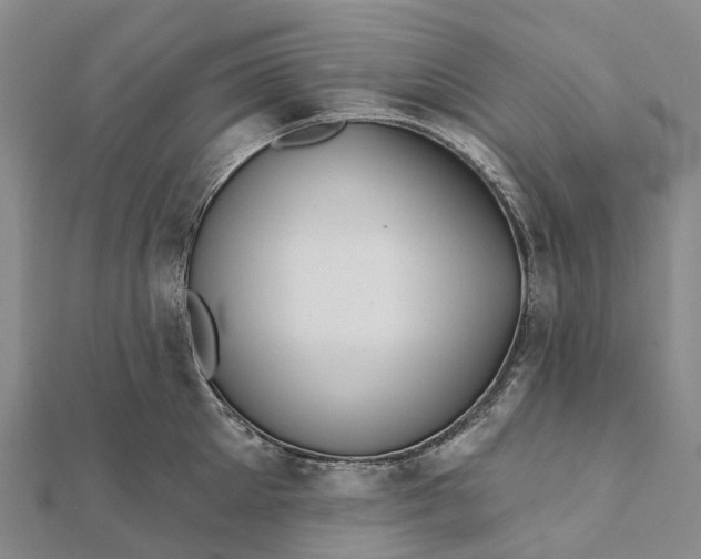 X0000112100905200908251147