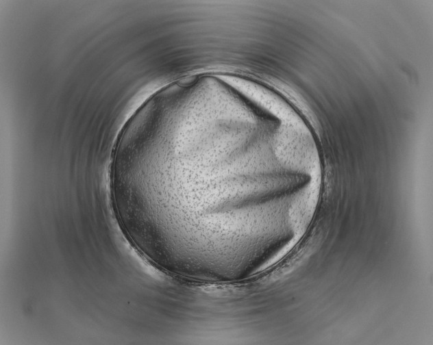 X0000112100906200908251147