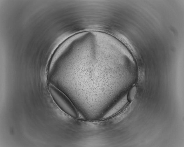 X0000112100908200908251147