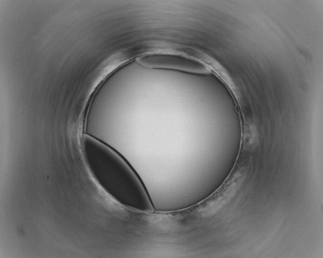 X0000112100909200908251147