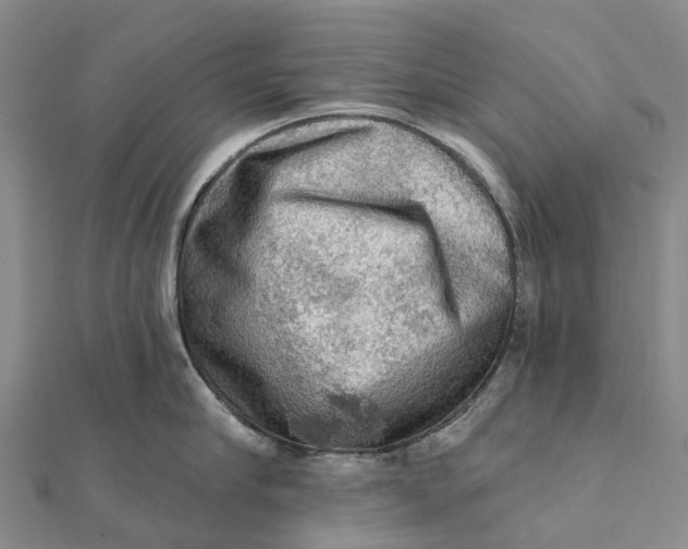 X0000112100910200908251147