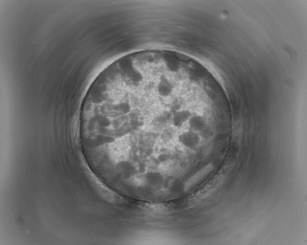 X0000112100911200908251147