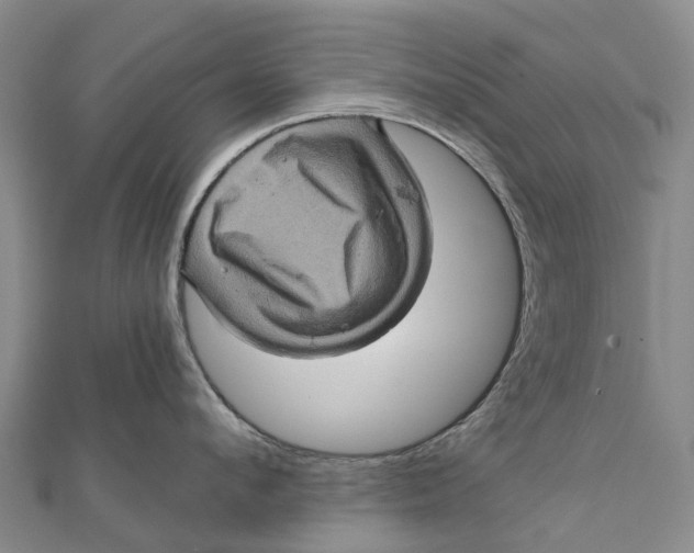 X0000112100912200908251147