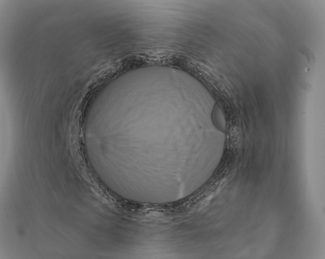 X0000112100913200908251146