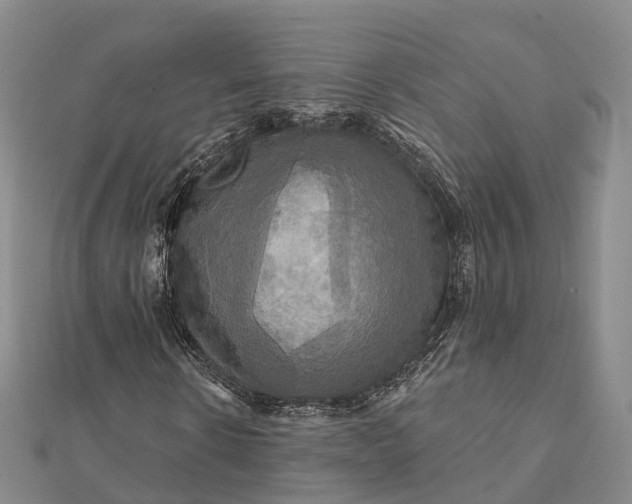 X0000112100914200908251146