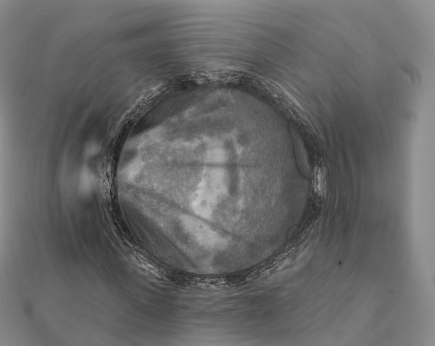 X0000112100915200908251146