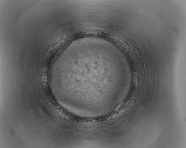 X0000112100916200908251146