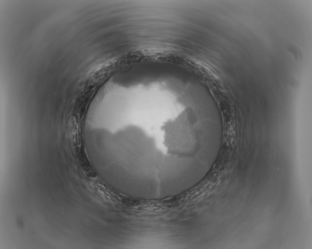 X0000112100917200908251146