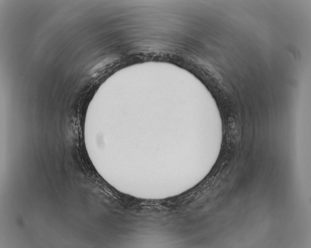 X0000112100918200908251146