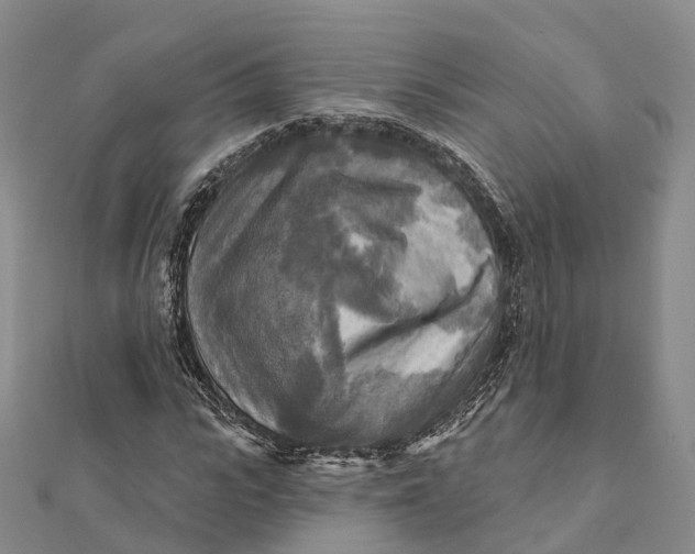 X0000112100919200908251146