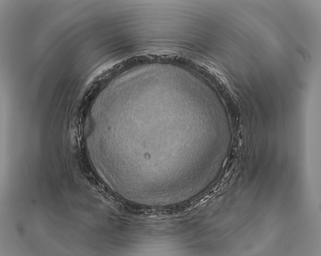 X0000112100920200908251146