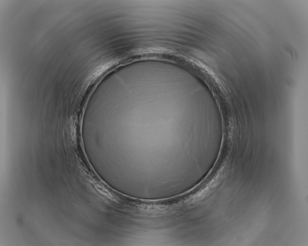 X0000112100921200908251146