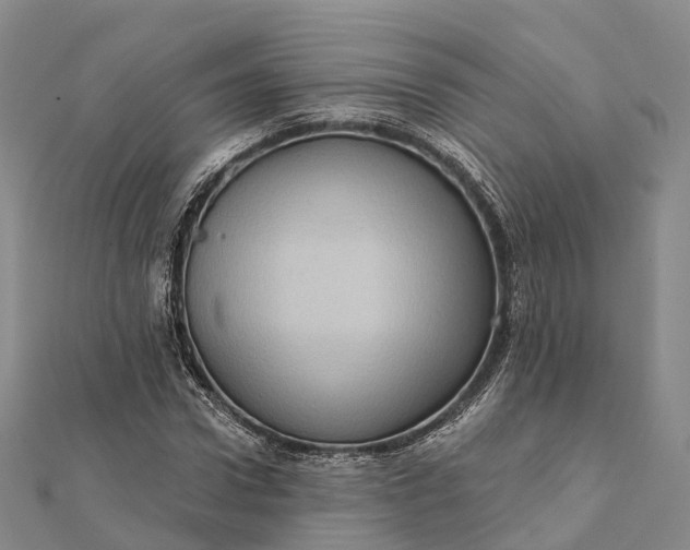 X0000112100922200908251146