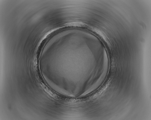 X0000112100923200908251146