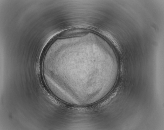 X0000112100924200908251146