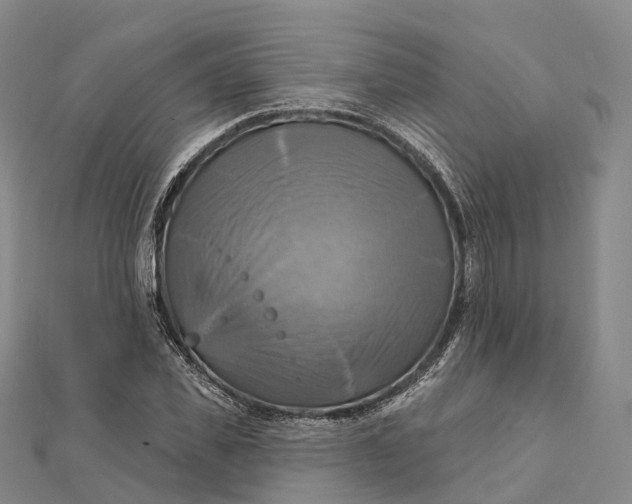 X0000112100925200908251146