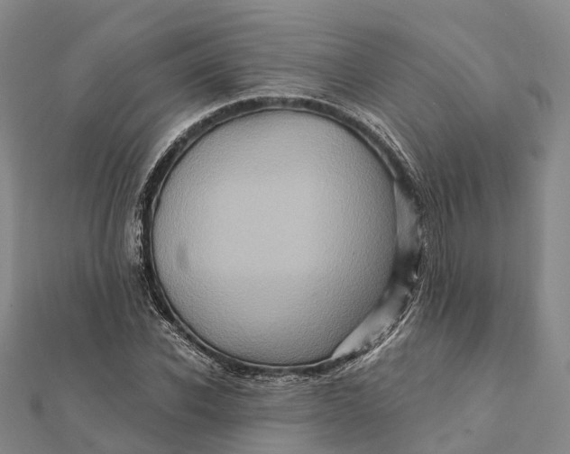 X0000112100926200908251146