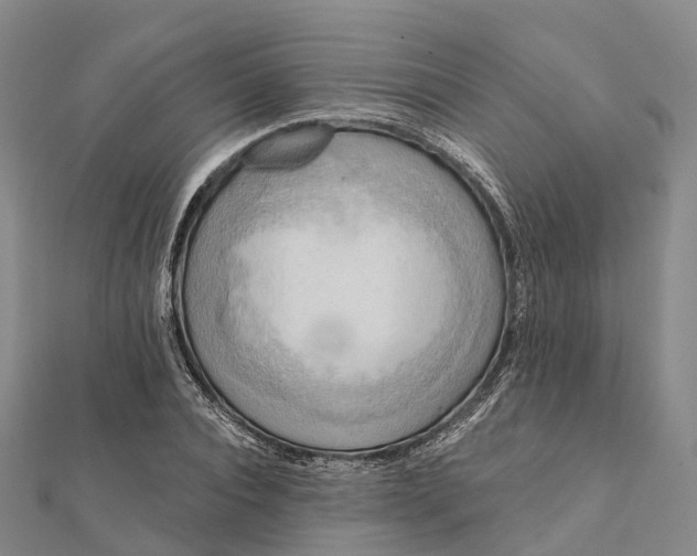 X0000112100928200908251146