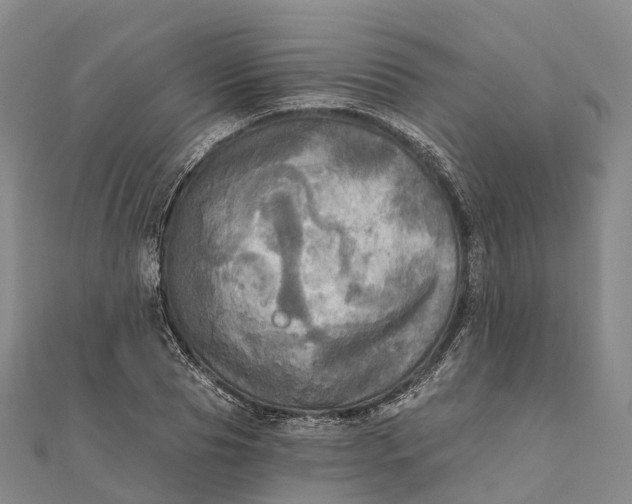 X0000112100929200908251146