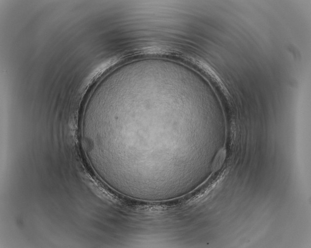 X0000112100930200908251146