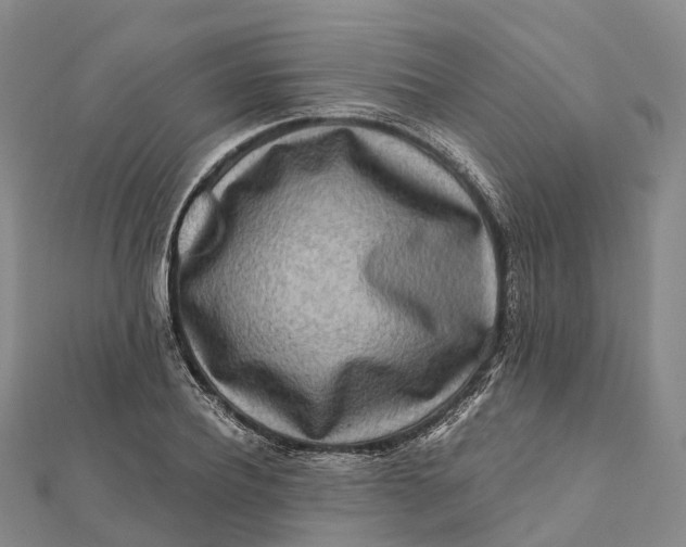 X0000112100932200908251146