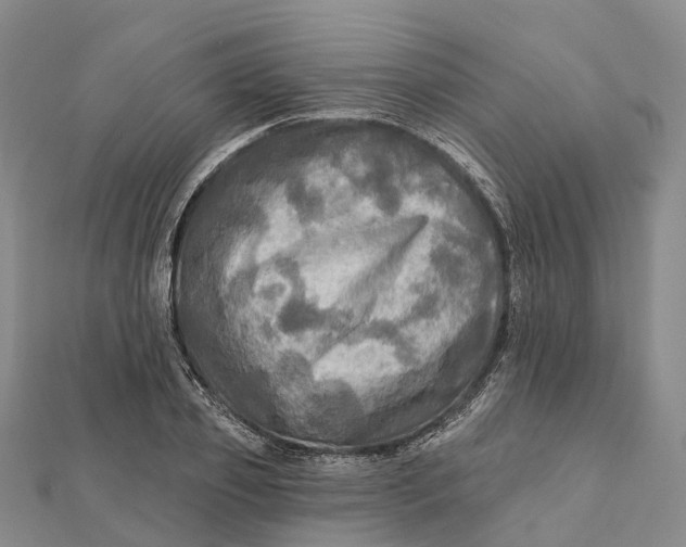 X0000112100933200908251146