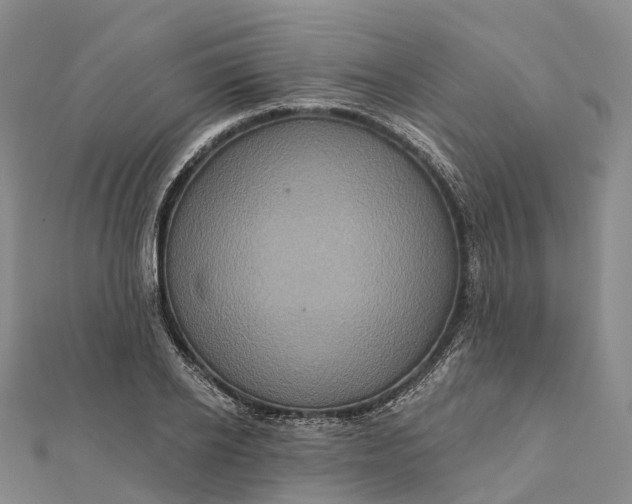 X0000112100934200908251146