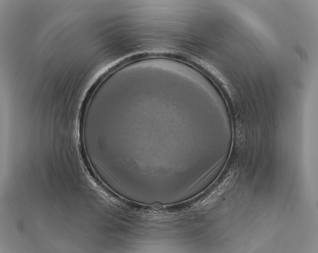 X0000112100935200908251146