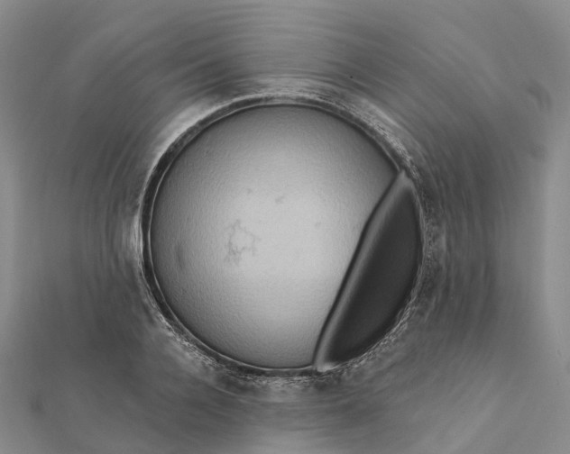 X0000112100936200908251146