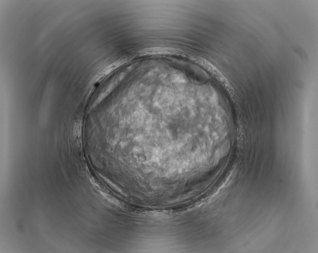 X0000112100937200908251146