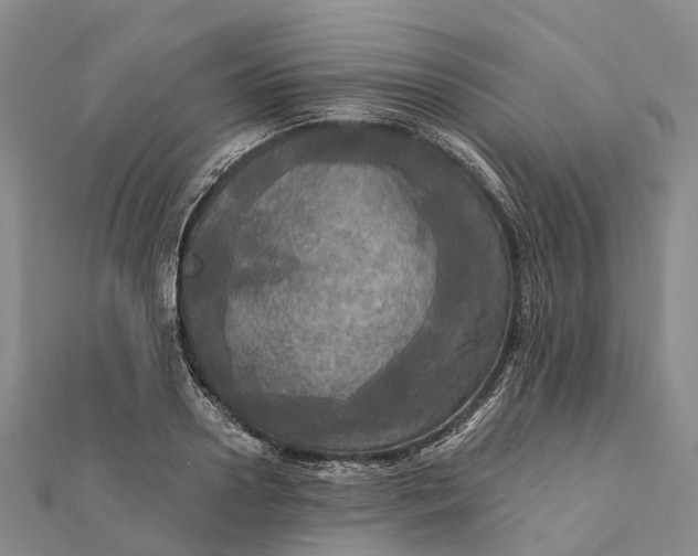 X0000112100938200908251146