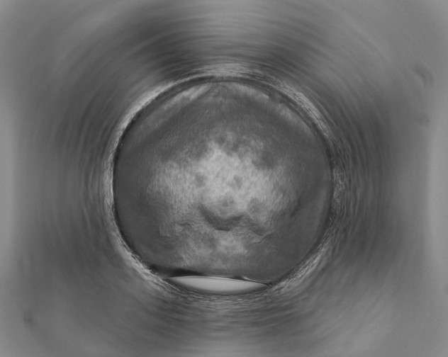 X0000112100939200908251146