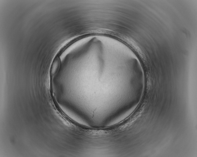 X0000112100940200908251146