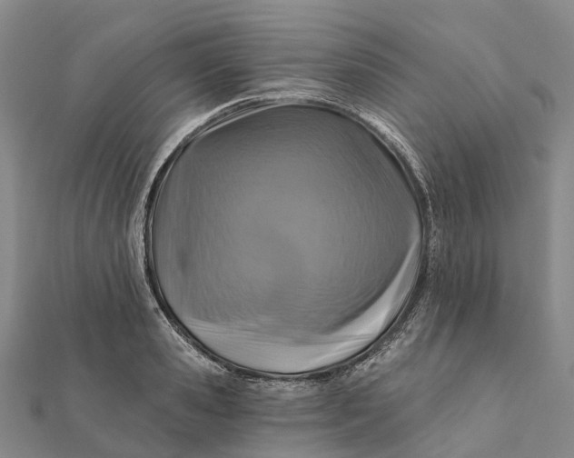 X0000112100941200908251146