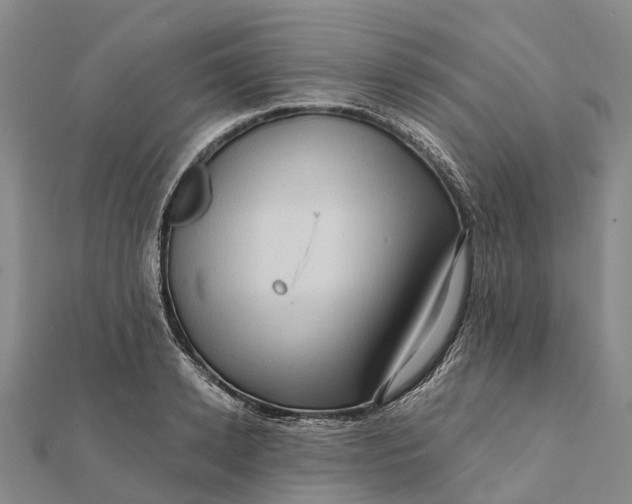 X0000112100942200908251146