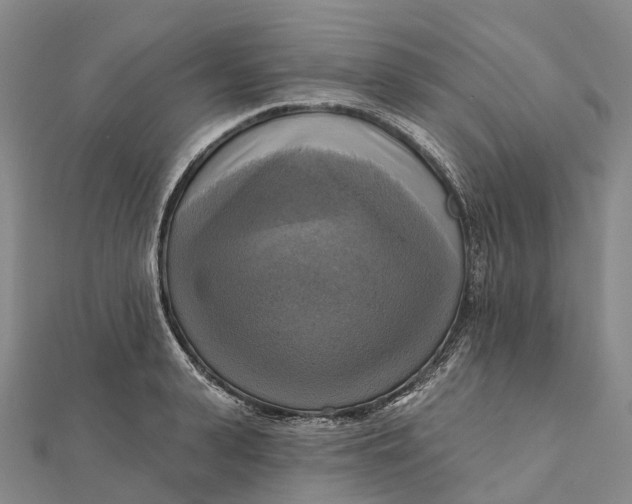 X0000112100943200908251146