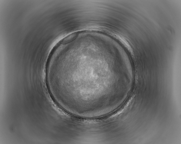 X0000112100944200908251146