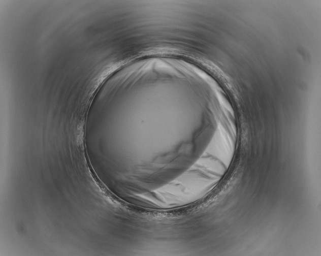 X0000112100945200908251146